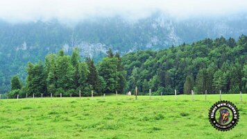 inzellpanoramaweg21062022 (156)_JPG