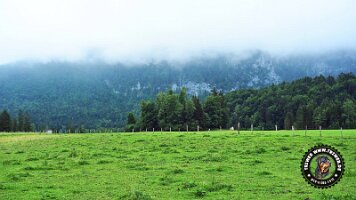 inzellpanoramaweg21062022 (157)_JPG