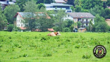 inzellpanoramaweg21062022 (159)_JPG