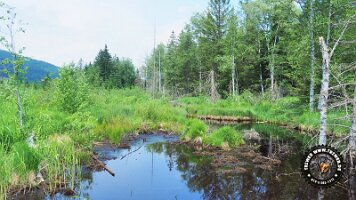 inzellpanoramaweg21062022 (16)_JPG