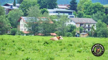 inzellpanoramaweg21062022 (161)_JPG