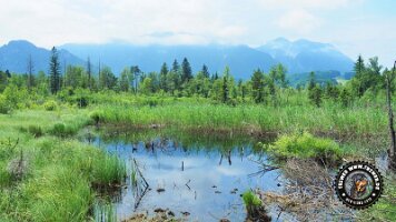 inzellpanoramaweg21062022 (17)_JPG