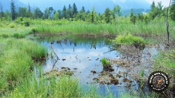 inzellpanoramaweg21062022 (18)_JPG