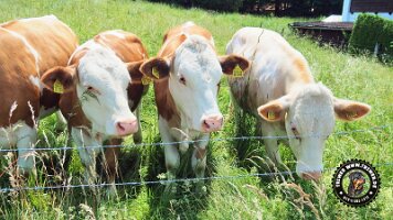 inzellpanoramaweg21062022 (23)_JPG