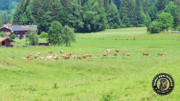 inzellpanoramaweg21062022 (46)_JPG