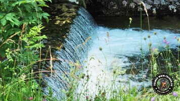 inzellpanoramaweg21062022 (5)_JPG