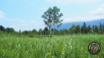 inzellpanoramaweg21062022 (7)_JPG