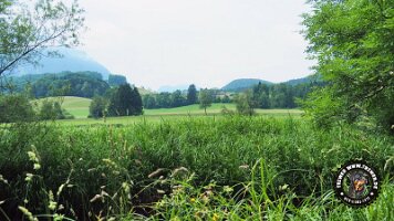 inzellpanoramaweg21062022 (8)_JPG