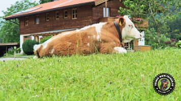 inzellpanoramaweg21062022 (80)_JPG