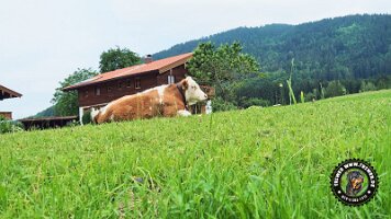 inzellpanoramaweg21062022 (81)_JPG