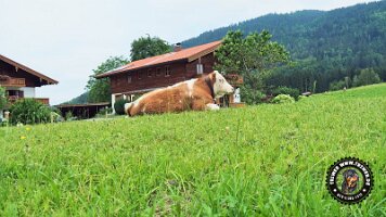 inzellpanoramaweg21062022 (82)_JPG