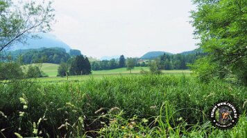 inzellpanoramaweg21062022 (9)_JPG