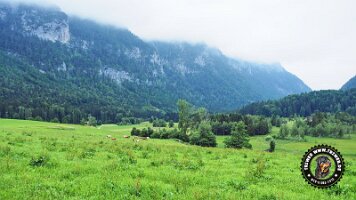 inzellpanoramaweg21062022 (93)_JPG