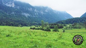 inzellpanoramaweg21062022 (95)_JPG