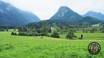 inzellpanoramaweg21062022 (96)_JPG