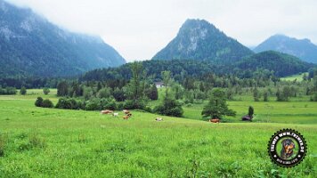 inzellpanoramaweg21062022 (97)_JPG