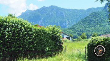 kirnbergrundeinzell23062022 (1)_JPG