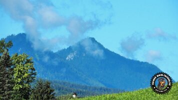 kirnbergrundeinzell23062022 (129)_JPG