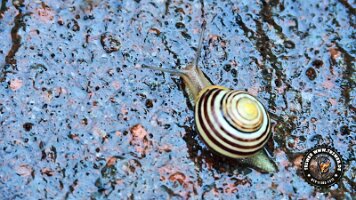 kirnbergrundeinzell23062022 (135)_JPG