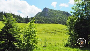 kirnbergrundeinzell23062022 (24)_JPG