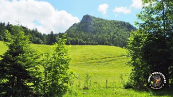 kirnbergrundeinzell23062022 (25)_JPG