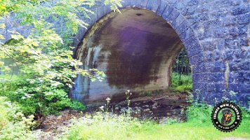 kirnbergrundeinzell23062022 (26)_JPG