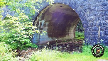 kirnbergrundeinzell23062022 (27)_JPG