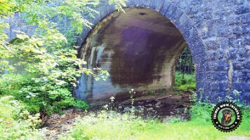 kirnbergrundeinzell23062022 (28)_JPG