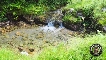 kirnbergrundeinzell23062022 (31)_JPG