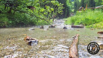 kirnbergrundeinzell23062022 (35)_JPG