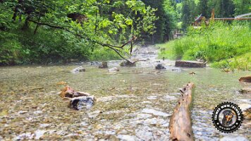 kirnbergrundeinzell23062022 (36)_JPG