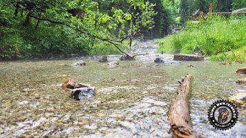 kirnbergrundeinzell23062022 (37)_JPG