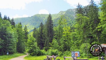 kirnbergrundeinzell23062022 (38)_JPG