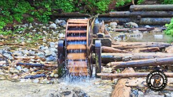 kirnbergrundeinzell23062022 (42)_JPG