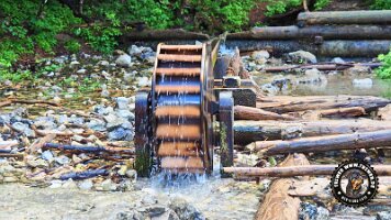 kirnbergrundeinzell23062022 (43)_JPG