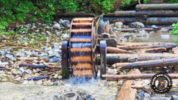 kirnbergrundeinzell23062022 (44)_JPG