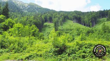 kirnbergrundeinzell23062022 (46)_JPG