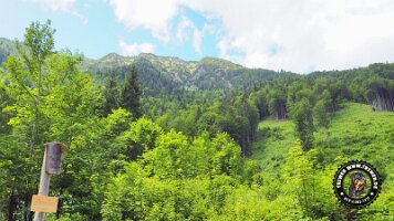 kirnbergrundeinzell23062022 (47)_JPG