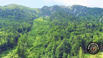 kirnbergrundeinzell23062022 (56)_JPG