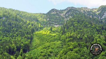 kirnbergrundeinzell23062022 (57)_JPG