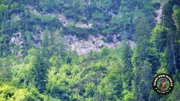 kirnbergrundeinzell23062022 (58)_JPG