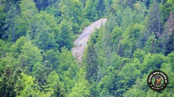 kirnbergrundeinzell23062022 (59)_JPG