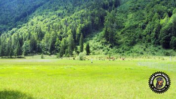 kirnbergrundeinzell23062022 (60)_JPG