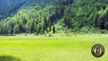 kirnbergrundeinzell23062022 (61)_JPG