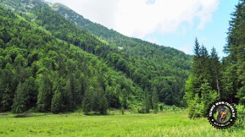 kirnbergrundeinzell23062022 (66)_JPG