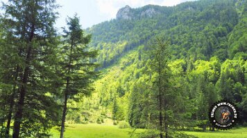 kirnbergrundeinzell23062022 (68)_JPG