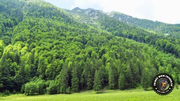 kirnbergrundeinzell23062022 (69)_JPG