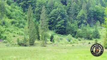 kirnbergrundeinzell23062022 (70)_JPG