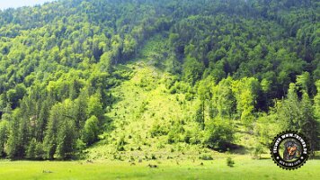 kirnbergrundeinzell23062022 (71)_JPG