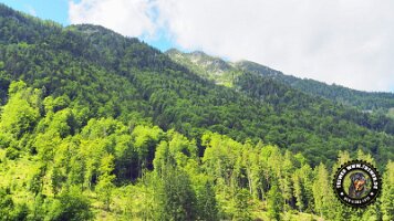 kirnbergrundeinzell23062022 (73)_JPG